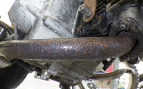HONDA CHALY 50 CF50