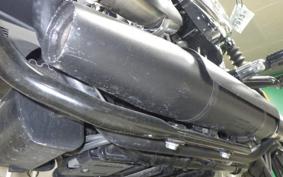 HARLEY XL883N 2021