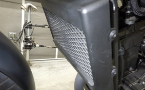 HONDA REBEL 250 2019 MC49