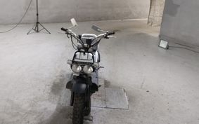 HONDA ZUMAR AF58