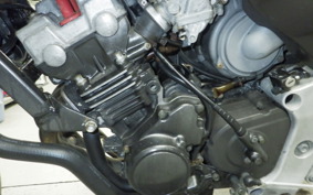 HONDA HORNET 250 2012 MC31