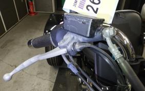 YAMAHA VIRAGO 250 TRIKE 3DM