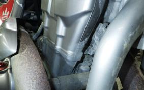 HONDA CRF250L 2007 MD38