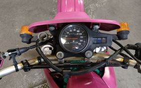 KAWASAKI KDX250SR DX250F