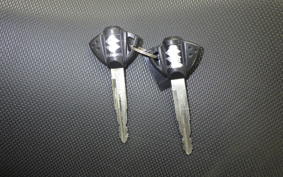 SUZUKI GSX250RA 2014