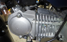 HONDA CROSS CUB 110 2024 JA60