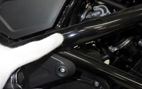 BENELLI レオンチーノ250