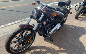HARLEY FXBRS 2019 YHK