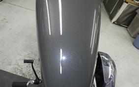 HARLEY XL1200X 2019
