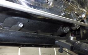 OTHER +UNREGISTERED MODEL by BDS250 2015