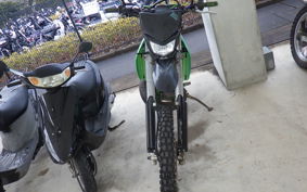 KAWASAKI KDX250SR DX250F
