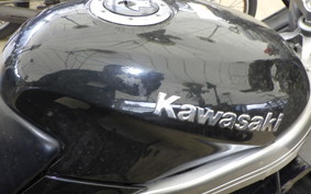 KAWASAKI ZZ-R250 2025 EX250H