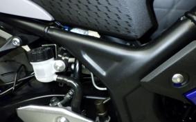 YAMAHA YZF R-3 2021 RH13J