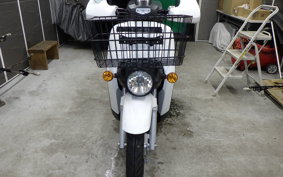 HONDA BENLY 50 2022 AA05