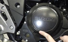 SUZUKI GSX250R 2019