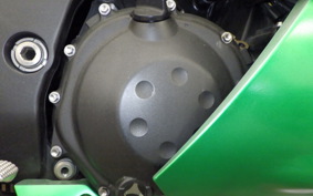 KAWASAKI ZX 1400 NINJA R A 2014