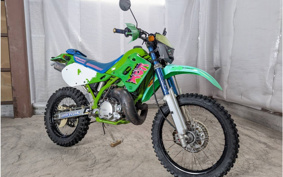 KAWASAKI KDX250SR DX250F