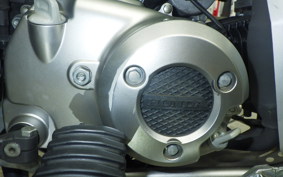 HONDA CT125 HUNTER CUB