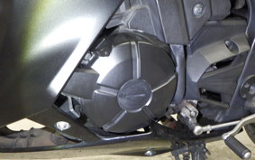 KAWASAKI Z250 2026 ER250C
