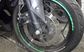 KAWASAKI NINJA 250 EX250L