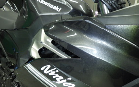KAWASAKI NINJA 250 2010