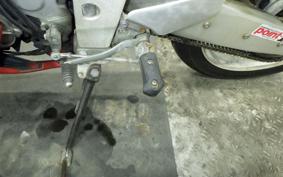 YAMAHA FZR250 Gen.2 R 3LN
