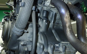 KAWASAKI Z250 Gen.2 2025 EX250Y
