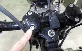 OTHER +HD. FLSTSB1580 2008