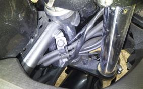 KAWASAKI NINJA 250 2022 EX250Y