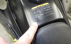 YAMAHA WR250X 2025 DG15J