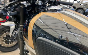 KAWASAKI W800 CAFE 2021 EJ800E