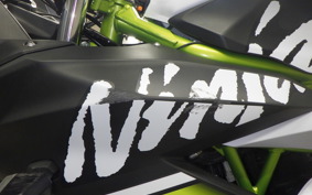 KAWASAKI NINJA 250 SL