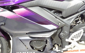 YAMAHA YZF-R25 RG74J