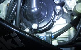 KAWASAKI NINJA ZX-6R A 2024 ZX636J