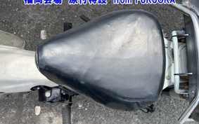 OTHER  LITTLE CUB -E FI