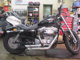 Фото Harley XL883 2008 с японского аукциона