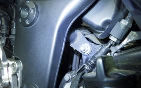 KAWASAKI NINJA 250R 2008 EX250K