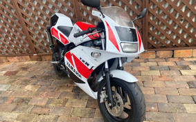 YAMAHA TZM50R 1994 4KJ