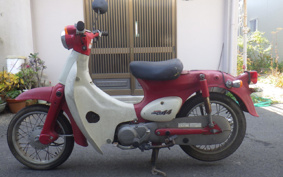 HONDA LITTLE CUB C50