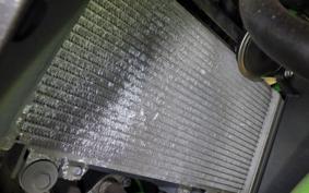 KAWASAKI NINJA 250 EX250L