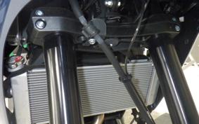 KAWASAKI VERSYS A 2025 LE650H