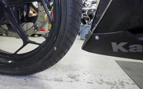 KAWASAKI NINJA 250 EX250L