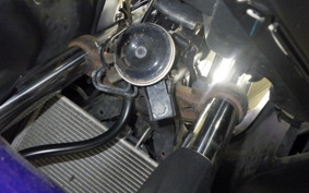 YAMAHA YZF-R25 2024 RG10J