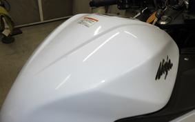 KAWASAKI NINJA 250 EX250L