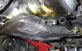 OTHER +RABBIT125 2025 S301