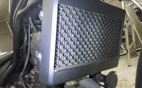 HONDA REBEL 250 A 2023 MC49