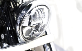 HARLEY FXSB 2014 BF5