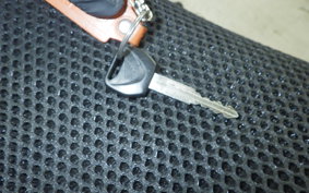 HONDA REBEL 250 A MC49