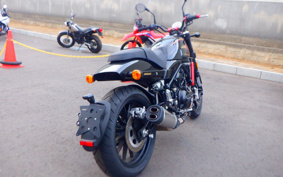 HARLEY  HARLEY X500 2024 W5B