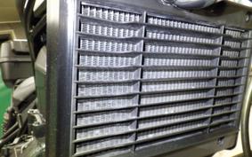 HONDA REBEL 1100 2021 SC83